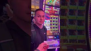 Crazy win on the buffalo slot!