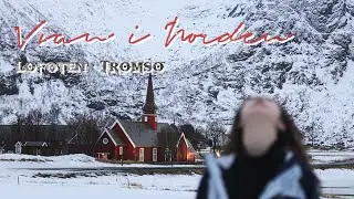 Norway Vlog 🗻 Lofoten Archipelago, Whale Watching