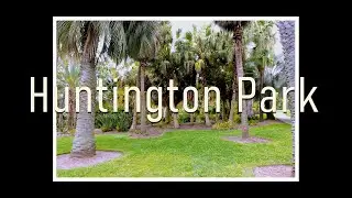 Huntington Park California. #huntingtonlibrary #rosegarden #california