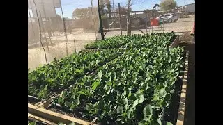 Food Security Program