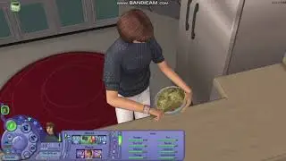 The Sims 2: Cooking With Mia E13 | A Baked Alaska Masterpiece