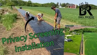 Hybrid Willow+Silky Willow Installation