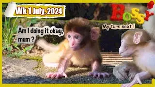 It could have been him toddling 😢....