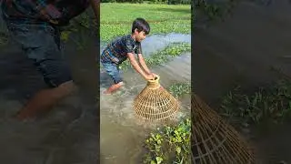 💥😱Village Traditional Bamboo Tools Polo Fishing Video #viral #fishing #shorts #fish