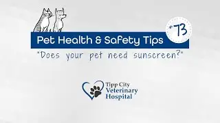 Pet Sunscreen