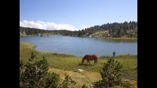Pêche itinérante sur les lacs du  Carlit (66)