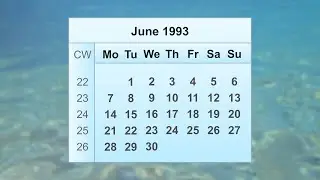 June 1993 Calendar