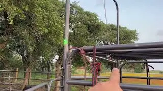 Redneck DIY Cattle Trailer