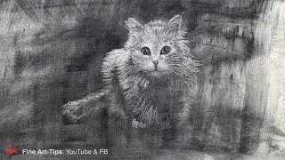 HOW TO DRAW A CAT WITH CHARCOAL POWDER AND AN ERASER - and graphite