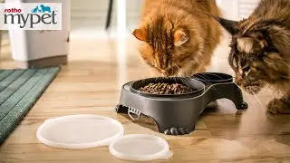 Rotho MyPet - Sally Double Bowl & Cody Pet Food Container - Short video