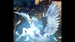Black Desert SA - Male Pegasus Finally  was born!