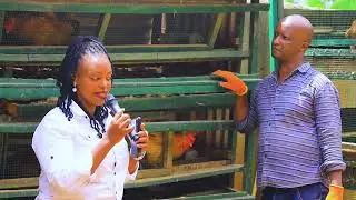 All in one Wooden Poultry Cage Home Grown Solution- The Niche Interview with RUTEC