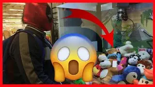 POR FIN VENZO a la 🧸M&Aacute;QUINA DE PELUCHES🚨-Curiotv