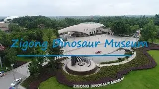 Welcome to Zigong Dinosaur Museum!