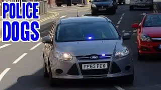 Unmarked police car responding - Ford Focus Dogs car