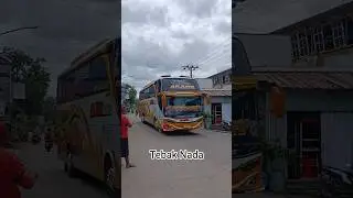 Telolet Basuri Bus Arjuna trans #busbasuri #busartis #basuri #buspariwisata #teloletbasuri #busmania