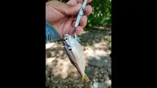 Oklahoma Fishing Trip 2022 Memorial Weekend