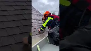 Dog Stranded on Roof During Flood &mdash; Saved by Brave Rescue Team #dogs #rescue #flood