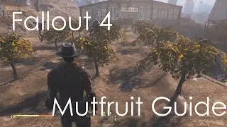 Fallout 4 - Easily Find Mutfruit, Tato, Corn Guide