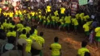 Traditional Indian bull-taming ritual resumes