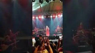 Zeynep başkan konseri (1)