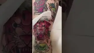 🍓 Strawberry Panther Head Tattoo any Bootattoo89 #tattuba #tatts #tattoodesigns #panther #neotrad