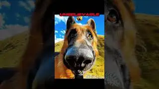 ДРУГИЕ ЖИВОТНЫЕ С КАМЕРАМИ X ПОСЛЕДНЕЕ #shorts #shortseua #youtube #youtubeshorts