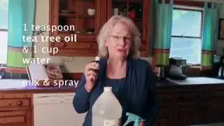 Ask Annie B- DIY Remedy for Mold