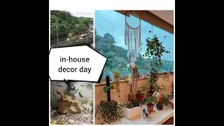 Decluttering my lovely in-house garden