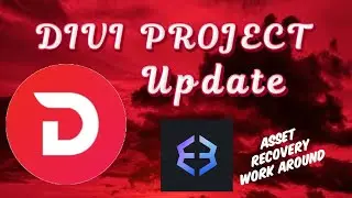 Divi Project Update: Asset Recovery On Exodus Work Around