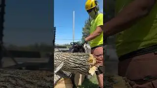 Logs for days #chainsawwork #subscribe