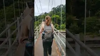 Bukit Lawang