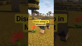 Disco sheep in Minecraft