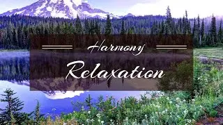 Experience Abundant Happiness with Eastern Soul Reflections Relaxing Music