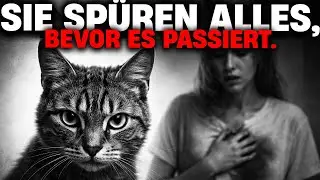 Die 7 tödlichen Warnungen, die deine Katze dir verzweifelt mitteilen will