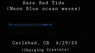 Rare Phenomenon: Red Tide (Neon blue ocean waves) Carlsbad,  CA  4/29/20 & Charging Crystals