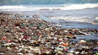 Fun Facts About Pollution
