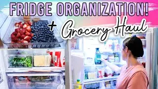 REFRIGERATOR ORGANIZATION IDEAS | ALDI GROCERY HAUL 2020 | Lynette Yoder