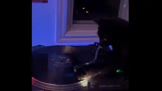 🎵🐱 DJ Cat Droppin&rsquo; the Beat! 🎧🐾