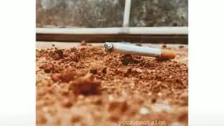 Cigarette lover &hearts;️🚬  #YouTube#viral#cigarettelover#all