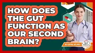 How Does The Gut Function As Our Second Brain? - Gut Wellness Central