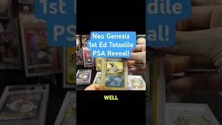 Neo Genesis 1st Totodile PSA Return! 🌊💦 #pokemoncards #vintagepokemon #pokemontcg #tradingcards