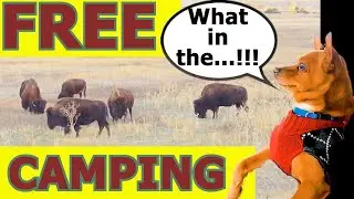 FREE Camping | Boondocking /Dispersed Camping at Sage Creek | Full Time RV Living