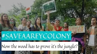 Спасите лес Аарей &mdash; зелёные лёгкие Мумбаи #saveaarey #saveforest