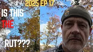 Когда наступает гон?? 2025 EP 17. 3 ноября. Охота с луком в Мэриленде.