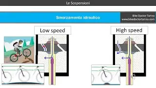 Le Sospensioni della Mountain Bike, Tutorial sul funzionamento dello smorzamento, Bike Doctor Torino
