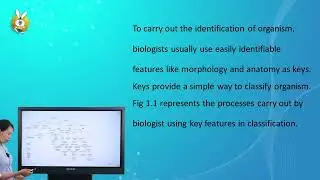 Grade 11 Biology Introduction to biology part 2