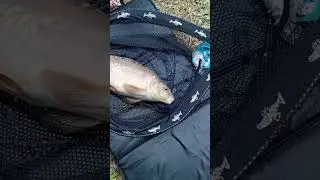 Heskin Old Hall Farm Pond 3 - MpeaceFishing