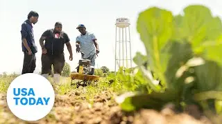 Mississippi farming co-op grows produce to improve community's health | USA TODAY