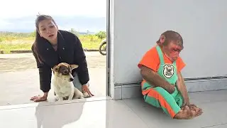 SU's Emotional Reaction With Mom & Dog || Monkey SU